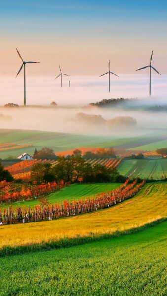 Hình nền iPhone 13 thảo nguyên xanh