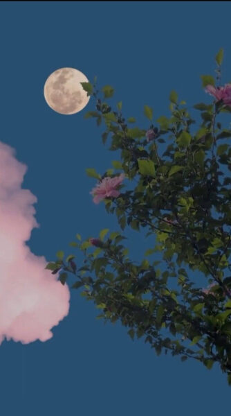 Hình nền iPhone 13 vintage