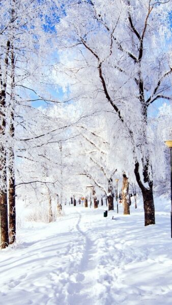 Wunderschöne Winter-Hintergrundbilder für Handys in Full HD