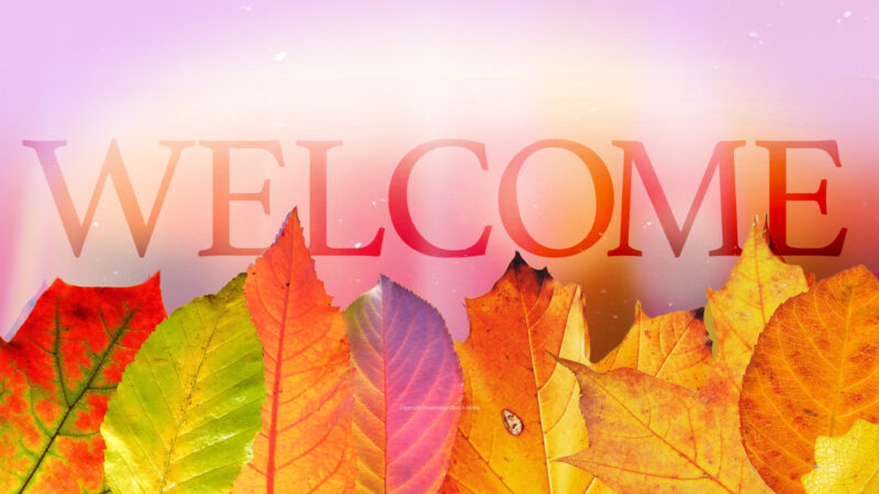 Hình Nền Powerpoint Xin Chào đẹp