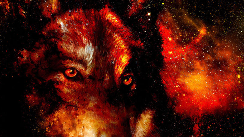 Hình nền sói lửa đen và đỏ