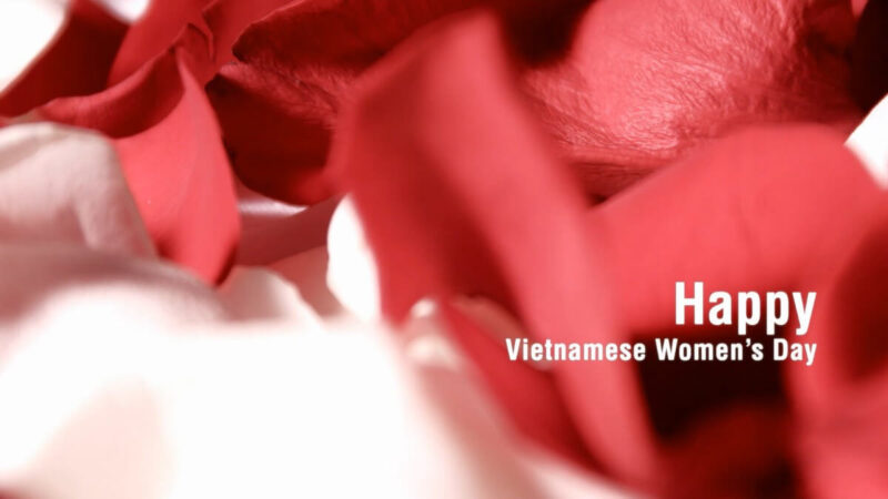 ảnh 20 10 đẹp dành tặng một nửa thế giới