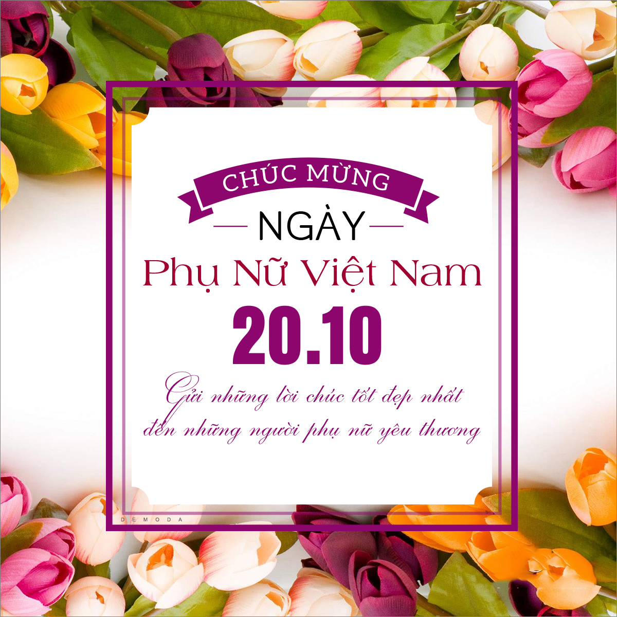 Ngày Phụ Nữ Việt Nam là dịp để chúng ta tôn vinh những bậc thầy trên mỗi gia đình và trong cộng đồng. Hãy dành tặng cho chị em phụ nữ những lời cảm ơn và những tấm thiệp ý nghĩa, để họ cảm nhận được giá trị của mình. Hãy cùng ngắm những hình ảnh đẹp và cảm nhận sức mạnh và sự kiên cường của chị em trong cuộc sống.