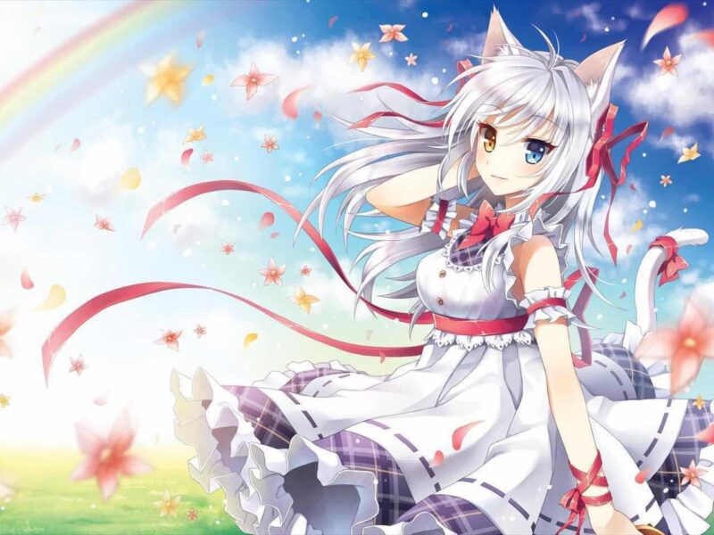 Ảnh anime tóc trắng mèo