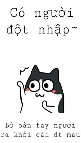 Ảnh bỏ điện thoại tao xuống bé chó đáng yêu