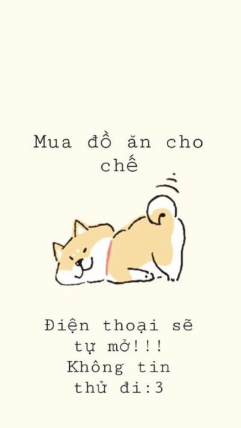 Ảnh bỏ điện thoại tao xuống chú chó dễ thương