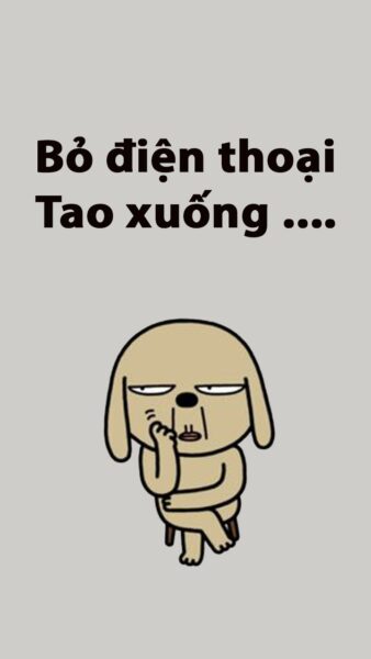 Ảnh bỏ điện thoại tao xuống chú chó ngồi gãi gãi