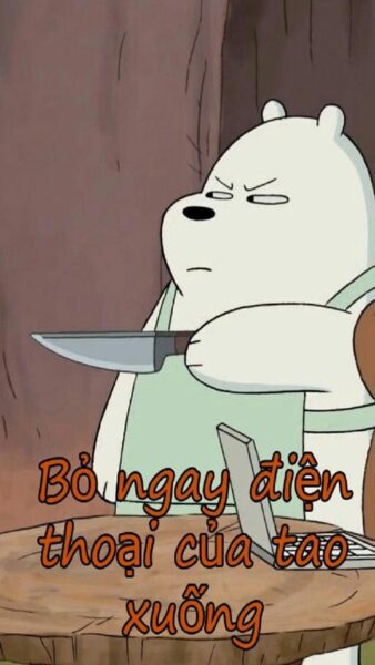 Ảnh bỏ điện thoại tao xuống gấu trắng cầm dao