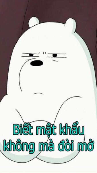 Ảnh bỏ điện thoại tao xuống gấu trắng đang lườm