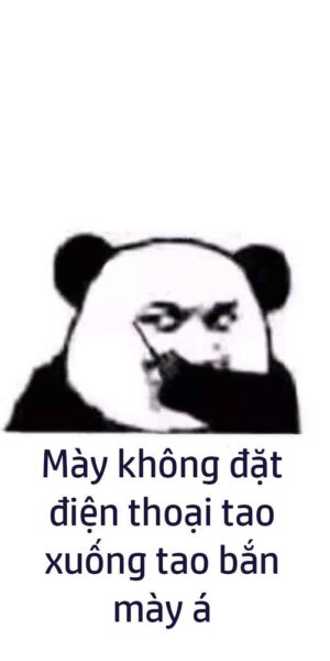 Ảnh bỏ điện thoại tao xuống gấu trúc chỉ đường