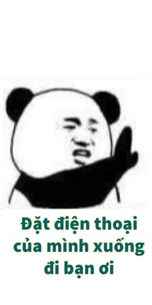 Ảnh bỏ điện thoại tao xuống gấu trúc cute