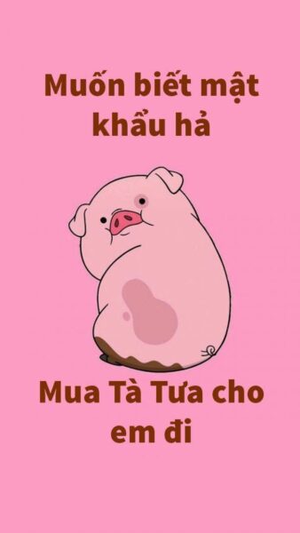 Ảnh bỏ điện thoại tao xuống lợn hồng