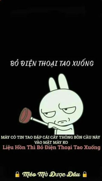 Ảnh bỏ điện thoại tao xuống thỏ trắng đáng yêu