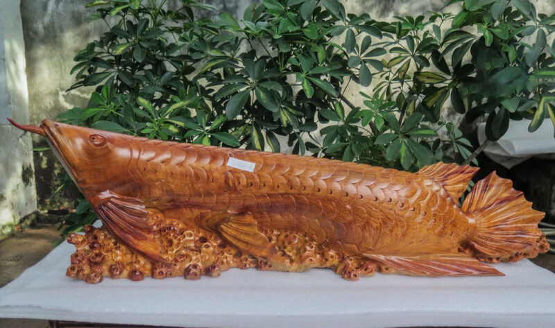 ảnh cá rồng tượng gỗ