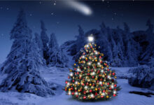 Ảnh cây thông Noel