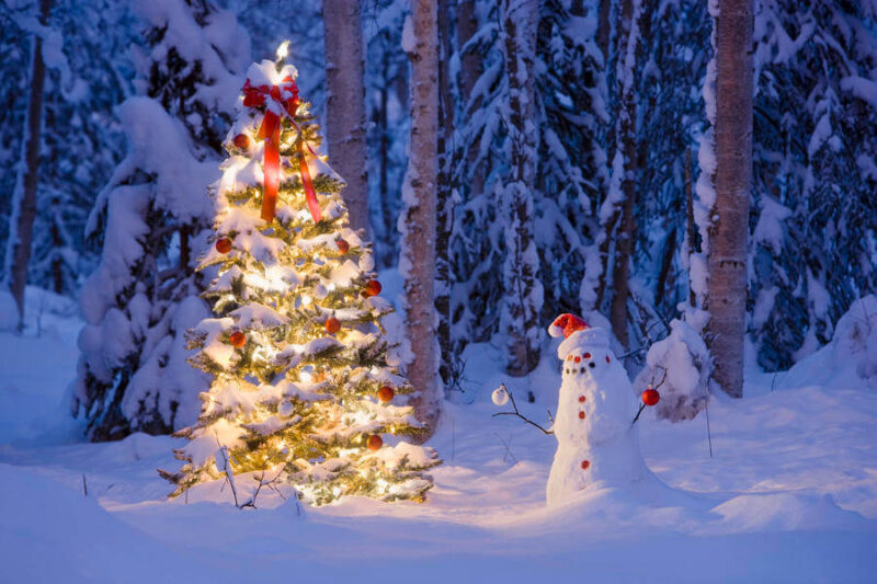 Hình ảnh cây thông noel và người tuyết