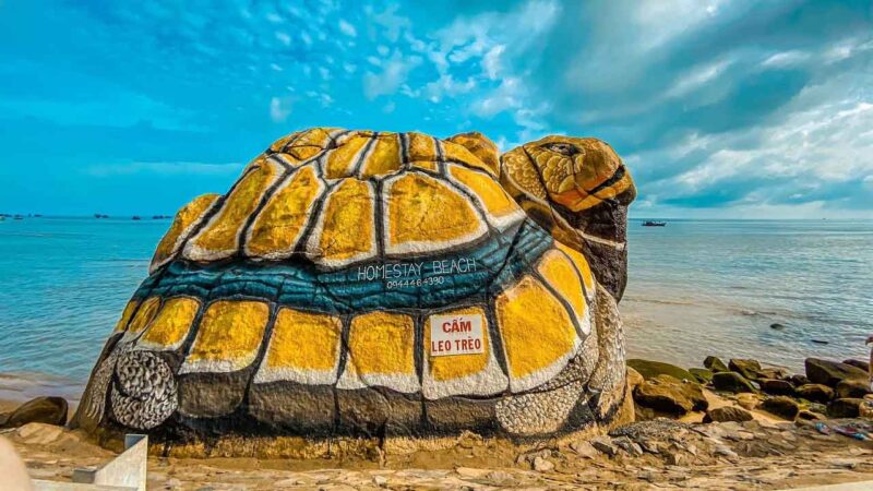ảnh con rùa được khắc họ thành biển đá