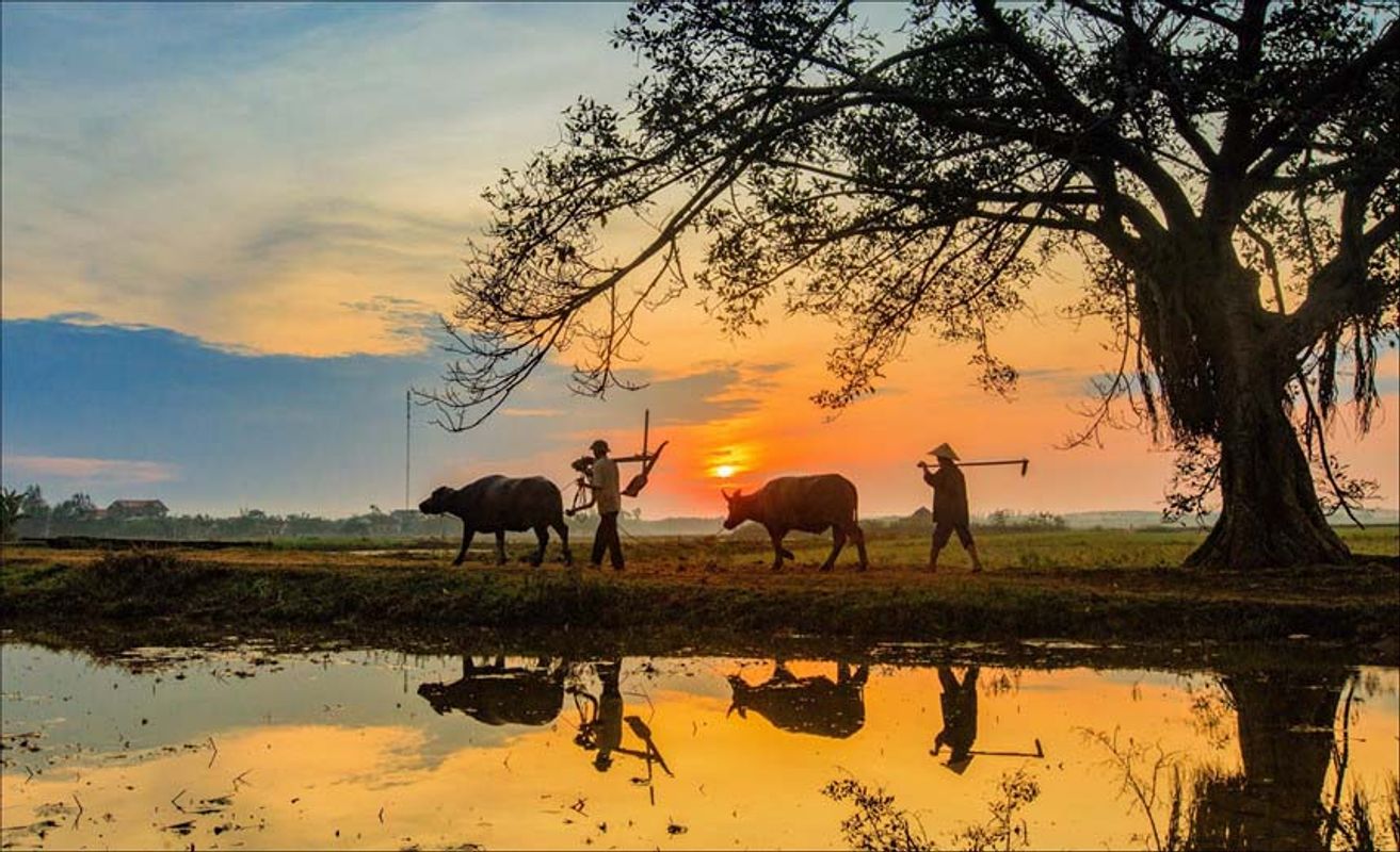 Đẹp, thanh bình, mộc mạc: Khám phá những hình ảnh đẹp, thanh bình và mộc mạc, khiến bạn cảm thấy như đang được sống giữa thiên nhiên trong lành và tươi đẹp. Từ những bờ sông lặng lẽ đến những cánh đồng bát ngát, thế giới yên bình đang chờ đón bạn.