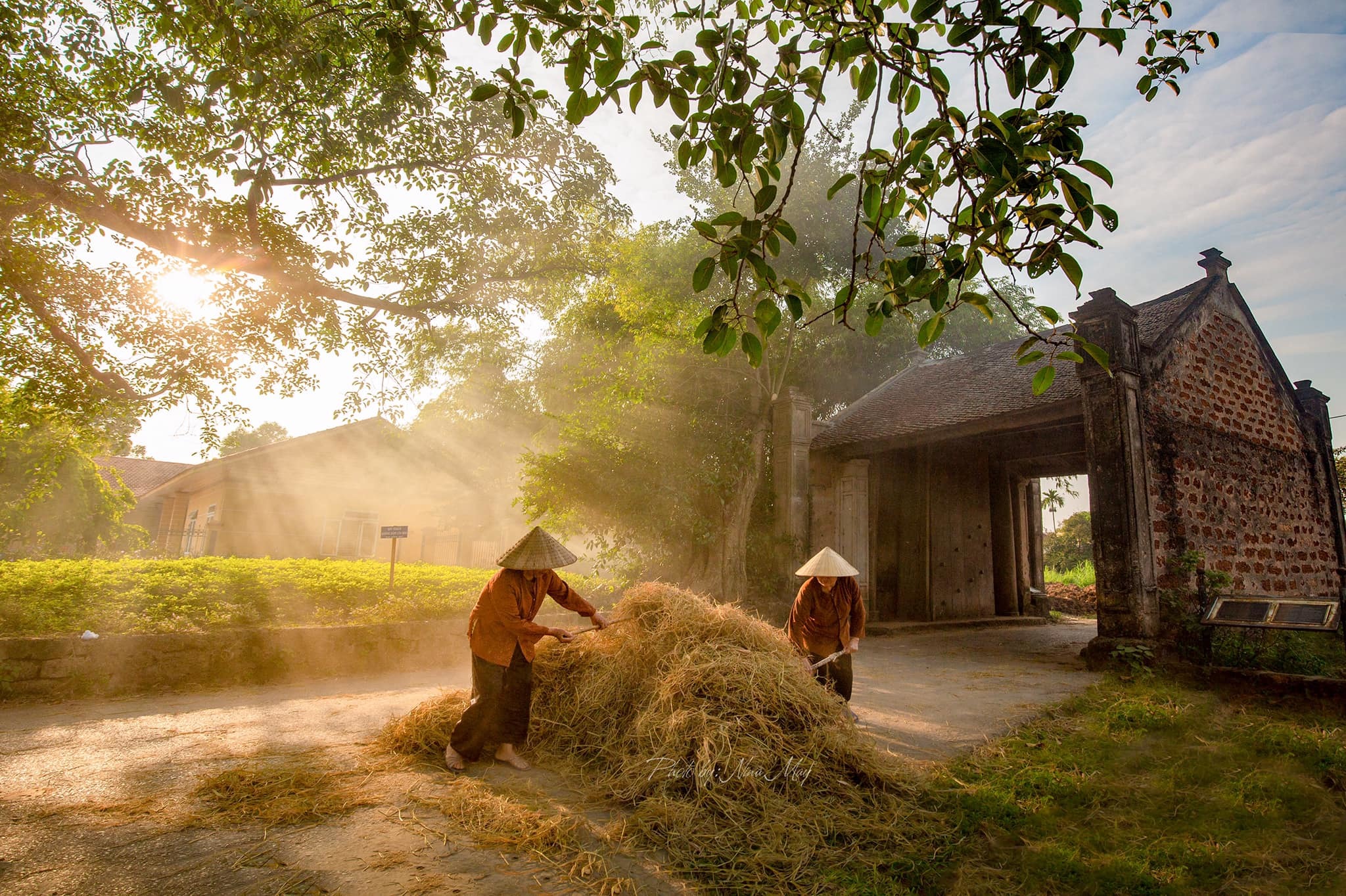 Ảnh làng quê Việt Nam là một điều khó thể bỏ qua đối với những người yêu thiên nhiên và muốn tìm kiếm nét đẹp trong cuộc sống. Bức hình này sẽ đưa bạn lạc vào một thế giới khó quên, nơi ánh nắng chiếu rọi và hình ảnh đẹp ngời.