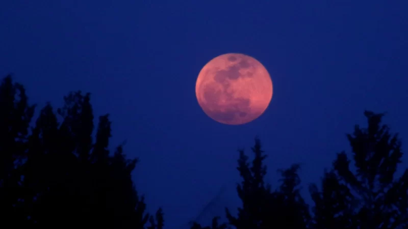 ảnh mặt trăng máu trong đêm