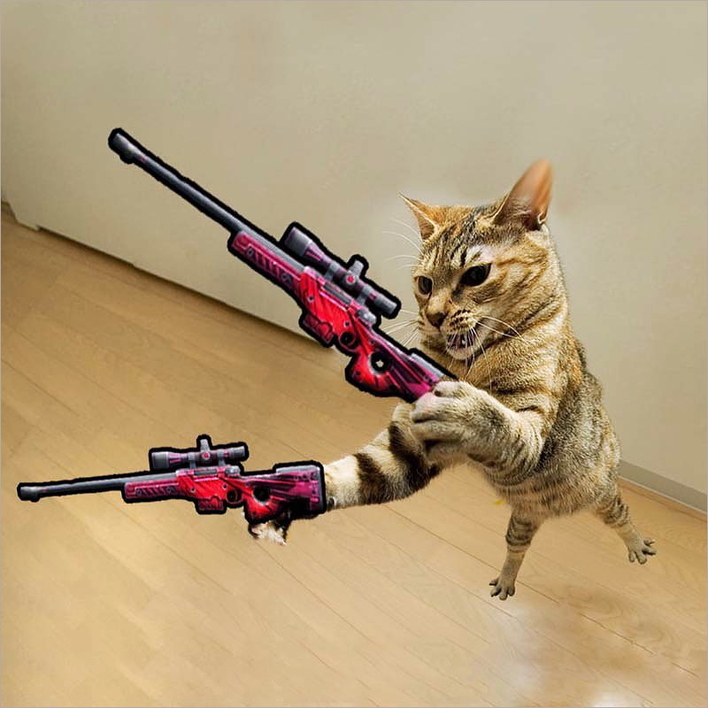 Top 500 ảnh con mèo cầm súng ff và các loại súng khác nhau