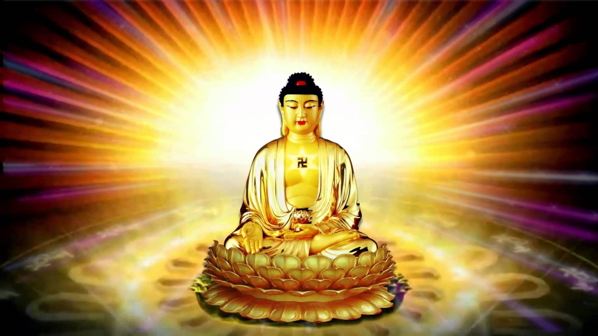 Phật A Di Đà và Phật Thích Ca ai lớn hơn & khác nhau chổ nào