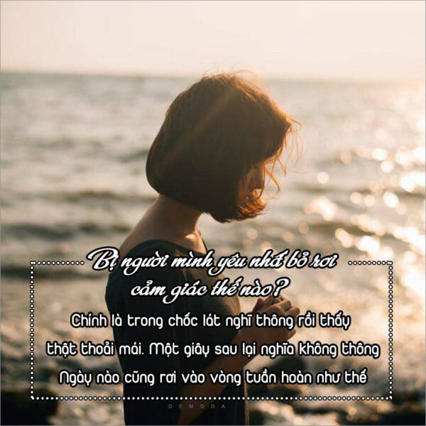 Ảnh stt đểu