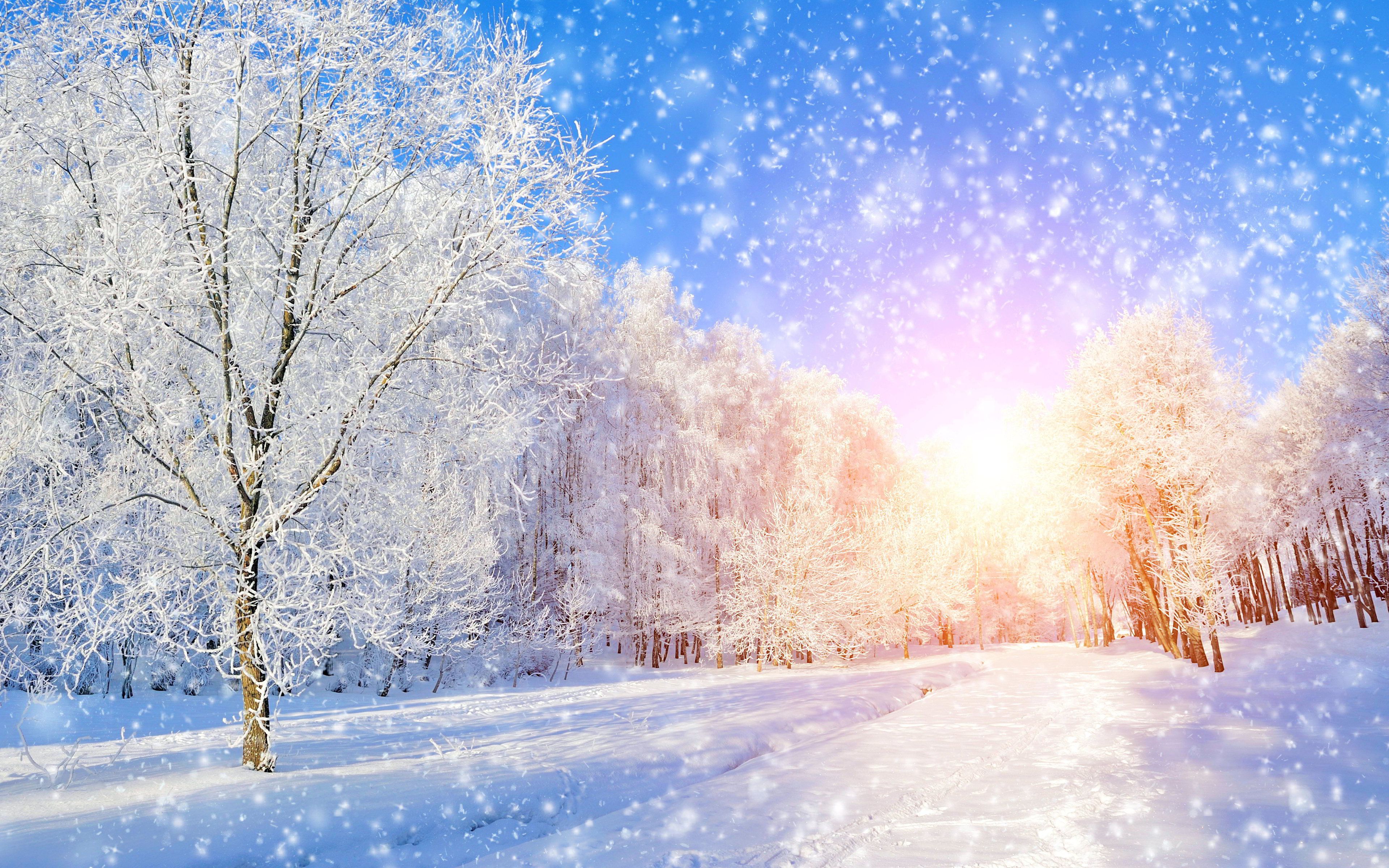Khi mùa đông đến, hình ảnh tuyết rơi đẹp sẽ mang đến cho bạn cảm giác an nhiên, yên tĩnh. Với những bông tuyết trắng xóa, rơi nhẹ từ trên cao, ảnh tuyết rơi đẹp sẽ khiến bạn cảm thấy như mình đang được sống trong một thế giới của tuyết rơi.