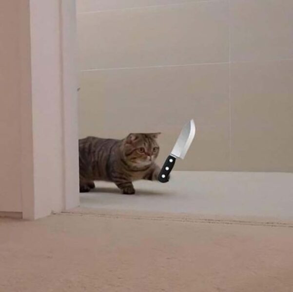 avatar mèo ff cầm dao