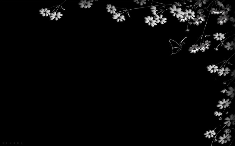 Background black - Background đen