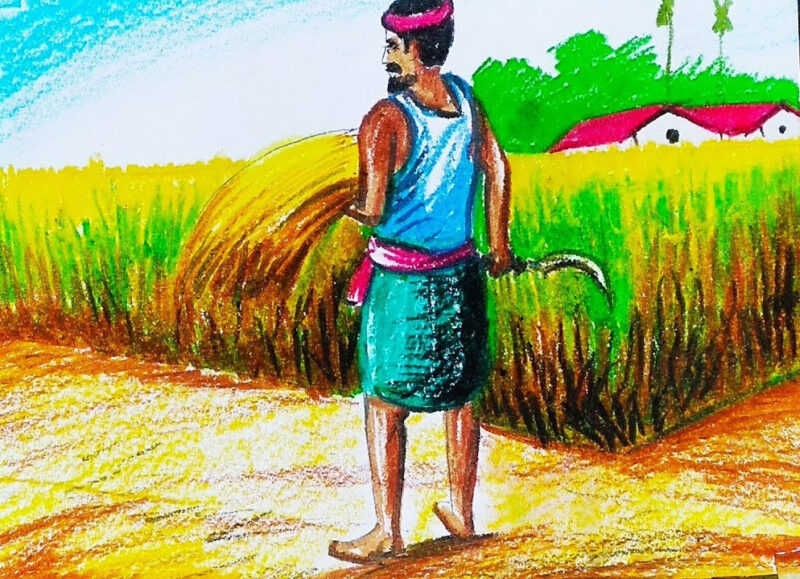Cách vẽ người nông dân đang gặt lúa