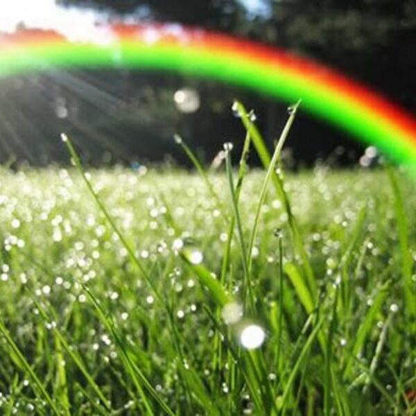 Hình ảnh cầu vồng sau mưa đẹp nhất