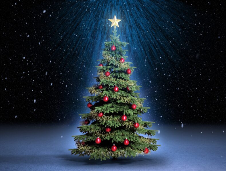 Hình ảnh cây thông Noel đẹp nhất thế giới