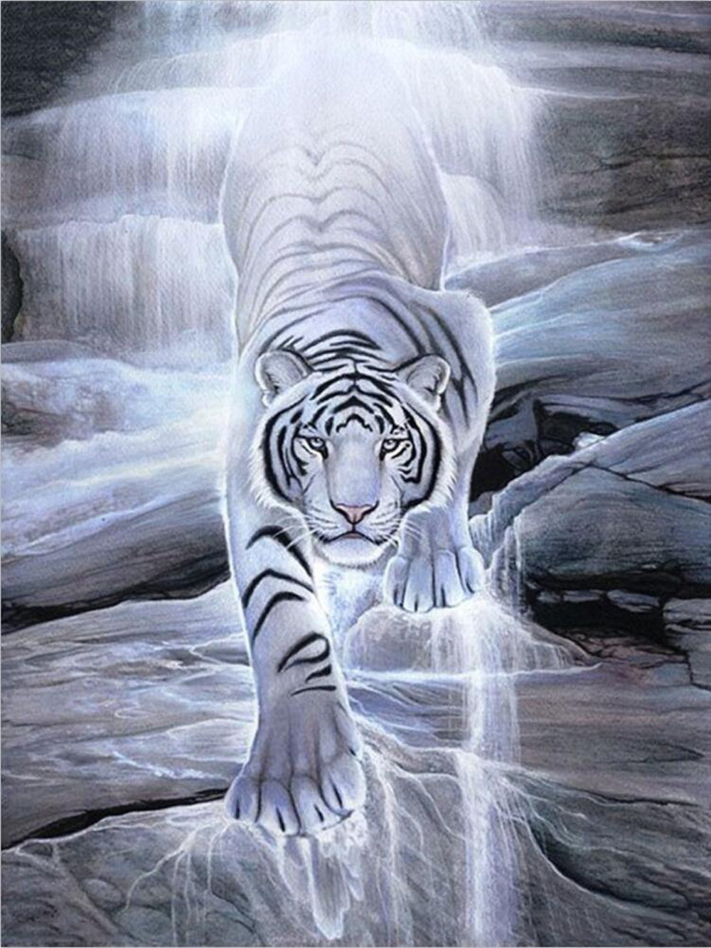 White Tiger Wallpapers Top Những Hình Ảnh Đẹp