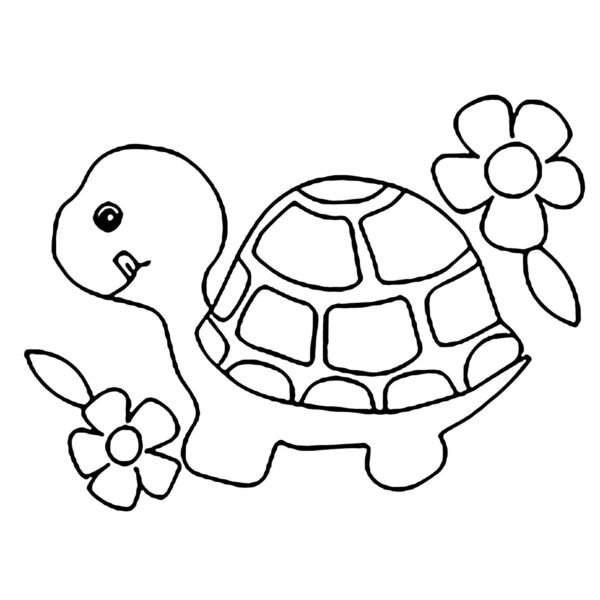 Hình ảnh con Rùa tô màu