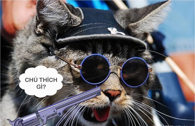 hình ảnh mèo ff đội mũ đeo kính