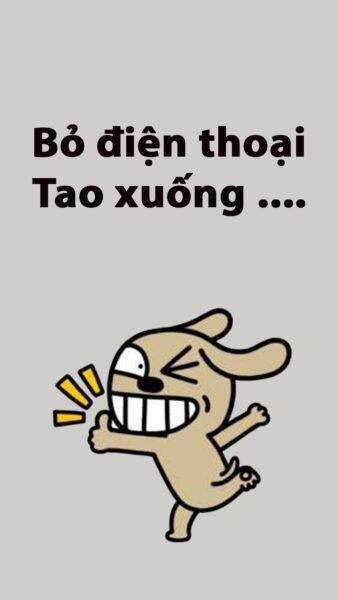 Hình nền bá đạo chó bật ngón tay cái