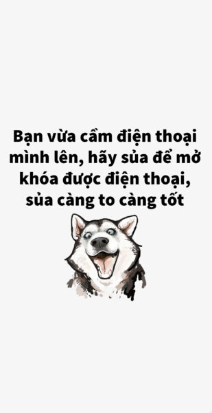 Hình nền bá đạo chó siêu xinh