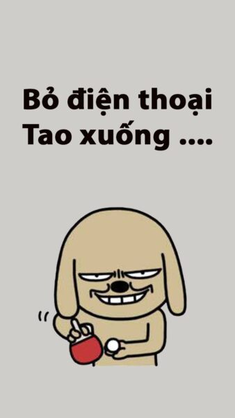 Hình nền bá đạo chú chó chơi bóng bàn