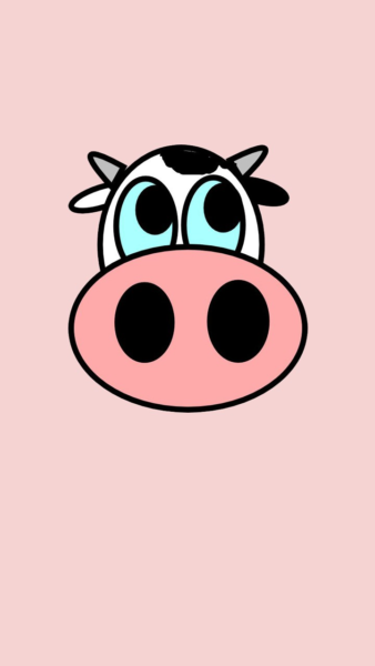 Hình nền bò sữa có chiếc nũi siêu to