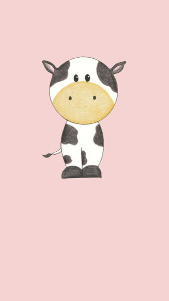 Hình nền bò sữa hơi lỗi mà đáng yêu
