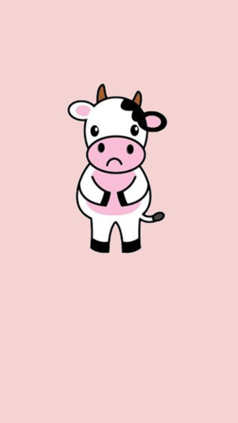 Hình nền bò sữa khoanh tay nhận tội