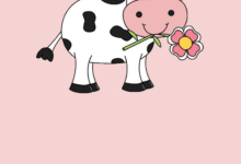 Hình nền bò sữa ngậm một cành hoa