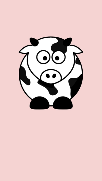 Hình nền bò sữa nhìn ngơ ngác