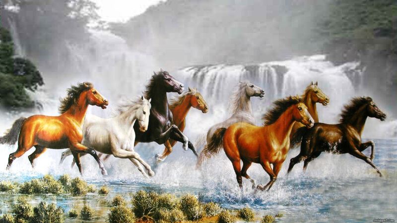 hình nền ngựa cầu may mắn, tài lộc