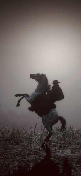 hình nền ngựa cực ngầu