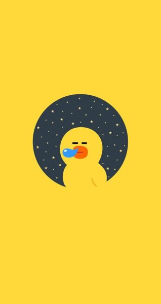 hình nền vịt vàng ngủ gật