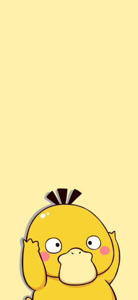 hình nền vịt vàng ngu ngốc