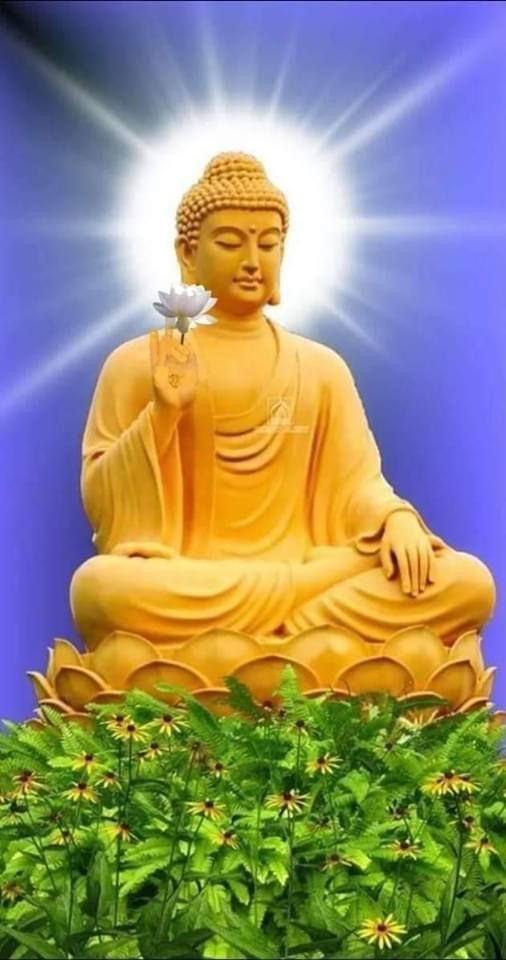 Những bức ảnh Phật A Di Đà tràn đầy ánh sáng và niềm tin sẽ giúp bạn tìm thấy niềm hy vọng và an lạc trong cuộc sống này.