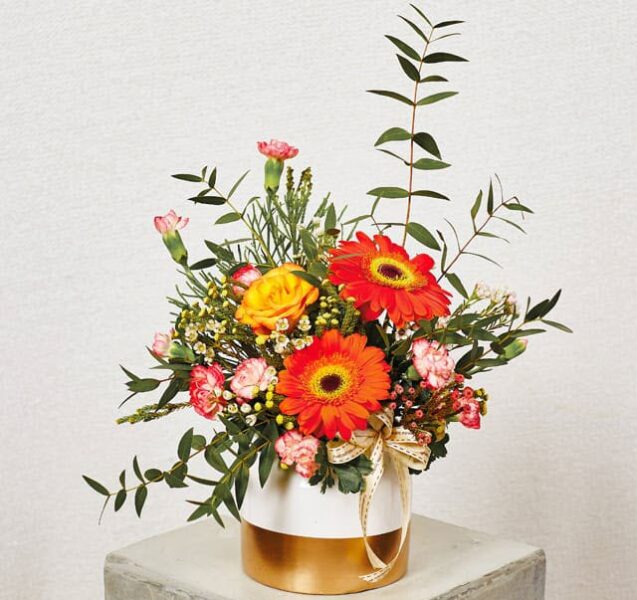 mẫu hoa để bàn đồng tiền đỏ